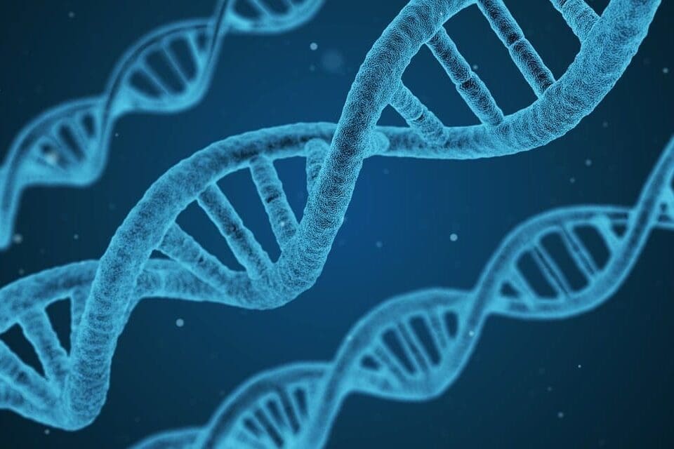 dna, helix, string